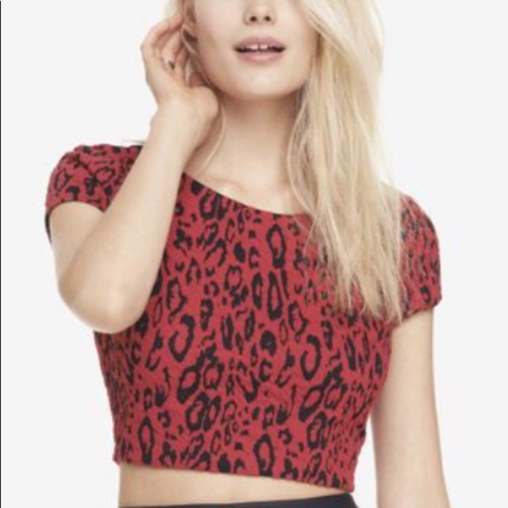 Express red and black leopard print crop top